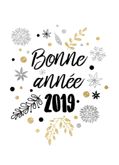        BONNE ANNEE 2019                                   