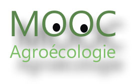 Formation en ligne : MOOC L'AgroEcologie