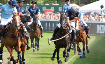 MINT Polo in the Park 2012