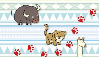 Bison, jaguar et lama - Les animaux d'Amérique