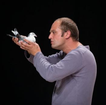 Théâtre : Pigeons