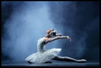 Danse : Le Lac des Cygnes - Moscow City Ballet 