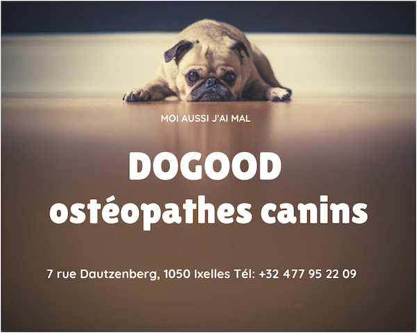 Chiens et chats : Dogood ostéophathie canine
