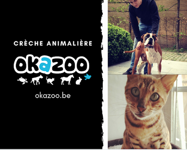 Chiens et chats : Okazoo crèche animalière
