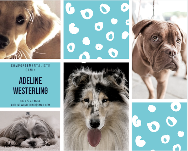 Chiens Chats : Adeline Westerling Comportementaliste canin & félin
